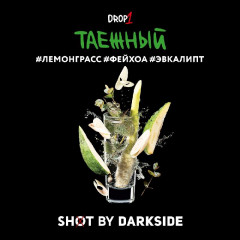 Табак для кальяна Darkside Shot Таёжный Трип (Лемонграсс, Фейхоа, Эвкалипт) 30 гр